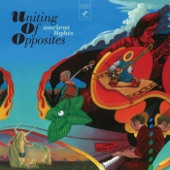 Uniting Of Opposites - Vortex Number 9