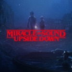 Miracle of Sound - Upside Down