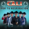 Por Tu Respiración - Single