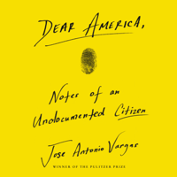 Jose Antonio Vargas - Dear America artwork