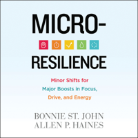 Bonnie St. John & Allen P. Haines - Micro-Resilience artwork