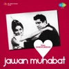 Jawan Muhabat (Original Motion Picture Soundtrack)