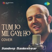 Tum Jo Mil Gaye Ho artwork