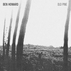 Old Pine - EP
