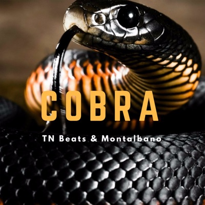 Cobra - TN Beats Montalbano |