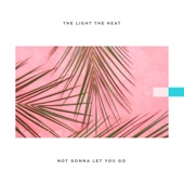 Not Gonna Let You Go artwork