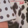 Spot (Expanded Edition), 1980
