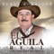 Sangre Inocente - El Aguila Real lyrics