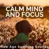 Calm Mind and Focus album lyrics, reviews, download
