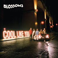 Blossoms - Cool Like You artwork