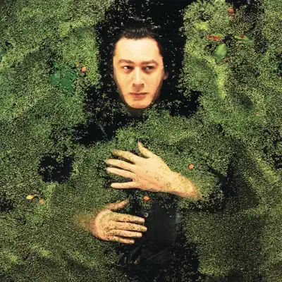 Fantaisie Militaire - Alain Bashung