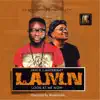 Stream & download L.A.M.N (feat. Masterkraft) - Single