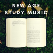 New Age Study Music: Focus and Brain Stimulation, Relaxation for Mindfulness, Theta Waves artwork