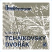 Tchaikovsky & Dvořák: Serenades artwork