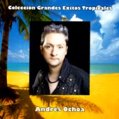 Colección Grandes Éxitos Tropicales artwork