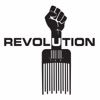 Revolution - Single