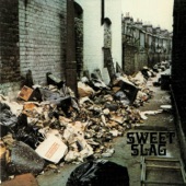 Sweet Slag - Flavour of Decay