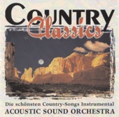 Acoustic Sound Orchestra - Help Me Make It Through the Night