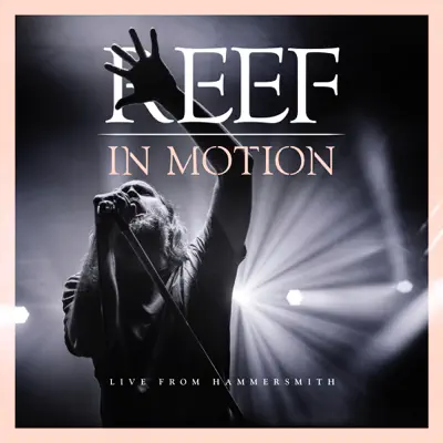 In Motion: Live from Hammersmith - Reef
