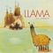 Chasing the Sun - Llama lyrics