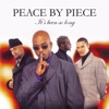 Peace by Piece - Take Me Back To When