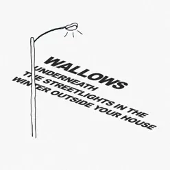 Underneath the Streetlights in the Winter Outside Your House - Single - Wallows