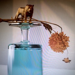 Beirut - Varieties of Exile