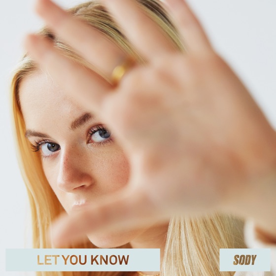 Cover artwork for Let You Know