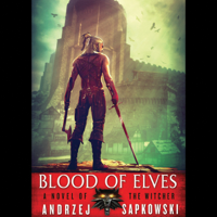 Andrzej Sapkowski - Blood of Elves artwork