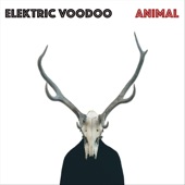 Elektric Voodoo - Trouble