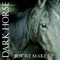 Easy for You - Dark Horse lyrics