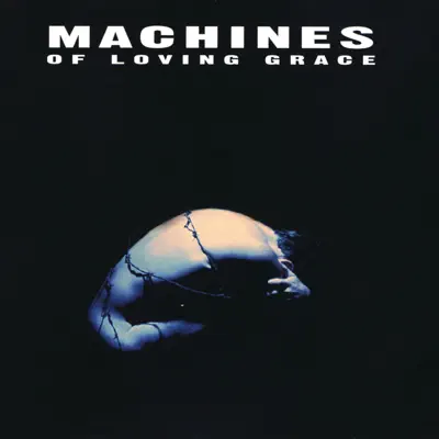 Concentration - Machines Of Loving Grace