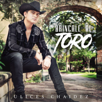 Ulices Chaidez - Brincale al Toro artwork