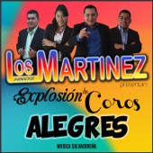 Coros (El Maestro de Galilea) artwork