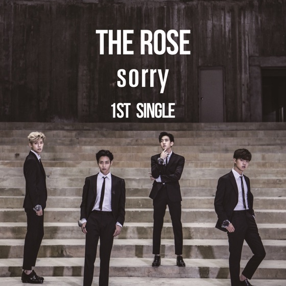 Cover artwork for Sorry