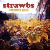 Acoustic Gold artwork