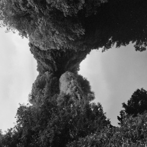 Planet - Single