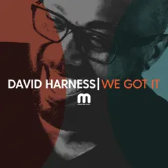 We Got It - Single by David Harness album reviews, ratings, credits