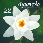 Ayurveda, Vol. 1: 22 Canzoni rilassanti per massaggio ayurvedico artwork