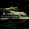 Me Rehúso (feat. Rebeca Luna) - Reed Adams lyrics