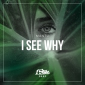 I See Why (Extended Mix) artwork
