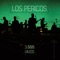 Anónimos (En Vivo) [feat. Carla Morrison] - Los Pericos lyrics