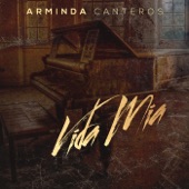 Vida Mia artwork