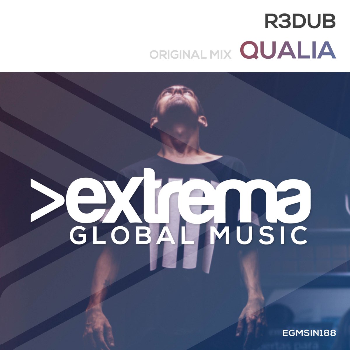 Qualia. Qualia приложение. Sinopia (Original Mix) r3dub. Qualia ideaesthesia. Confusing Paradise Qualia.