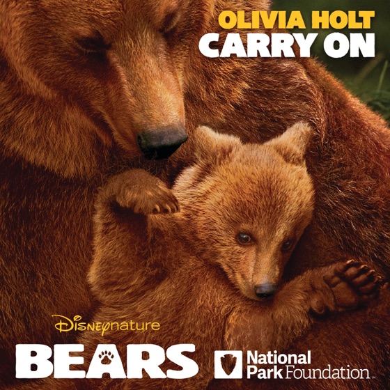 Cover artwork for Carry On