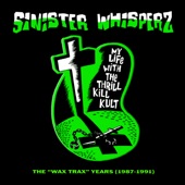 My Life With the Thrill Kill Kult - Kooler Than Jesus (AC/Dc Dog Mix)