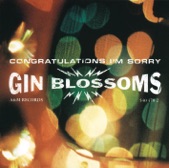 Gin Blossoms - Til I Hear It From You