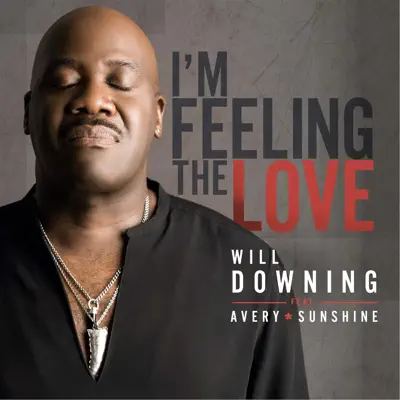 I'm Feeling the Love (feat. Avery*Sunshine) - Single - Will Downing