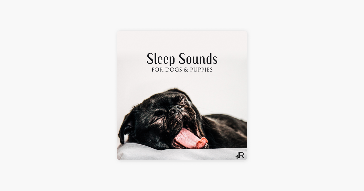 sounds to help dogs sleep
