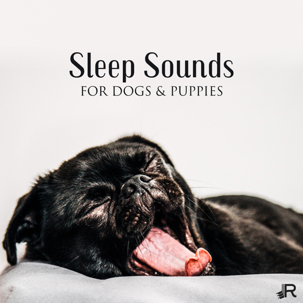 soothing puppy sleep music
